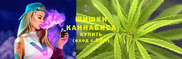 гидропоника Осинники