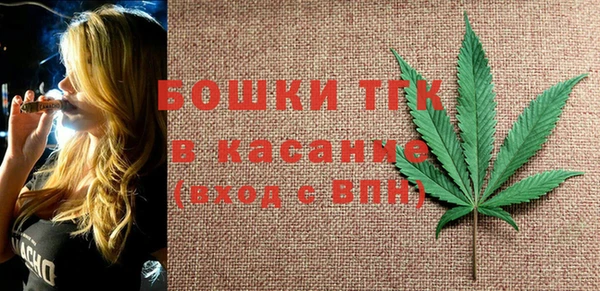 Альфа ПВП Няндома