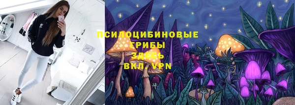 гидропоника Осинники