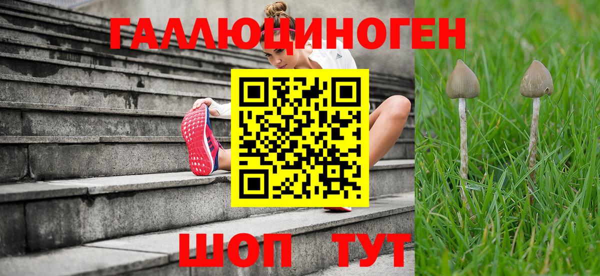 Галлюциногенные грибы мухоморы  Архангельск 