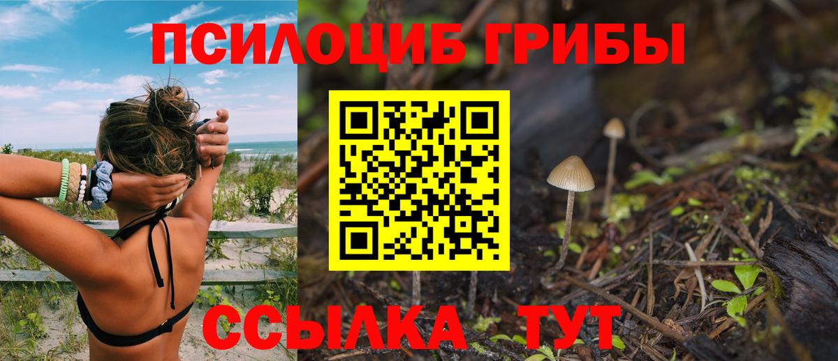 Псилоцибиновые грибы GOLDEN TEACHER  даркнет сайт  Архангельск  Галлюциногенные грибы мухоморы  Вход с VPN 