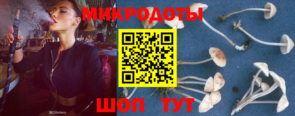 Псилоцибиновые грибы мухоморы  Архангельск 