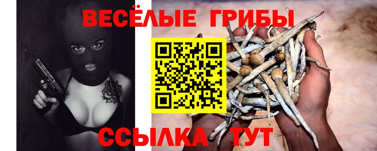 Галлюциногенные грибы Magic Shrooms Архангельск