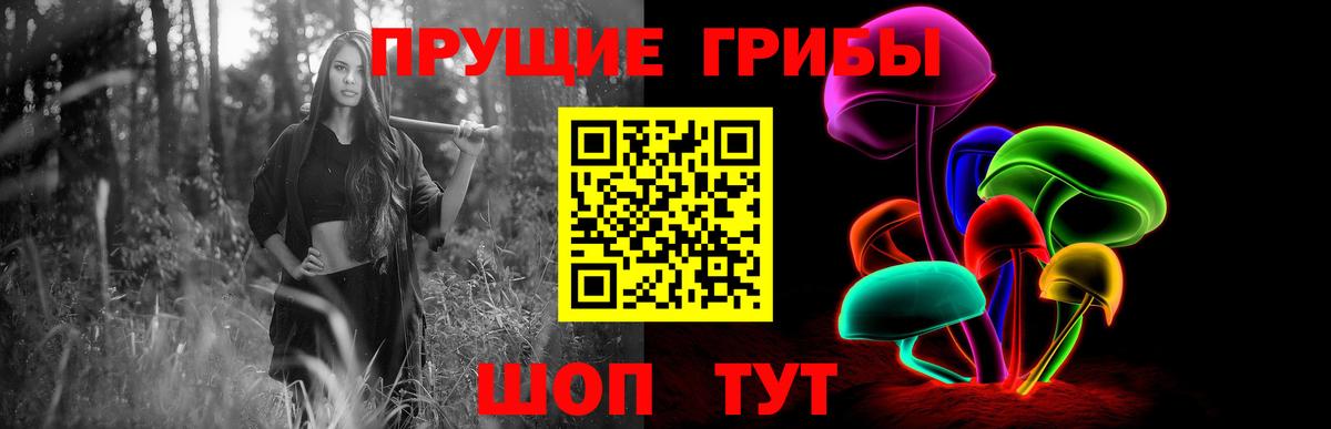 Псилоцибиновые грибы Psilocybine cubensis Архангельск
