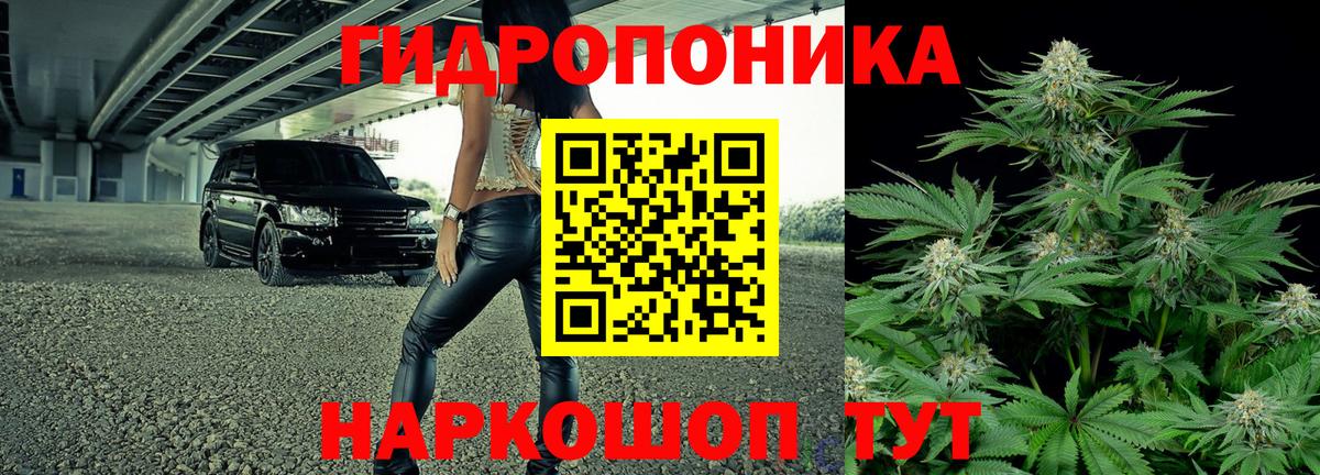 Бошки Шишки White Widow  Бошки Шишки White Widow  Бошки Шишки White Widow  Архангельск 